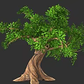 Arbor With Vibrant Green Leaves Thick Brown Trunk And Luxuriant Branches