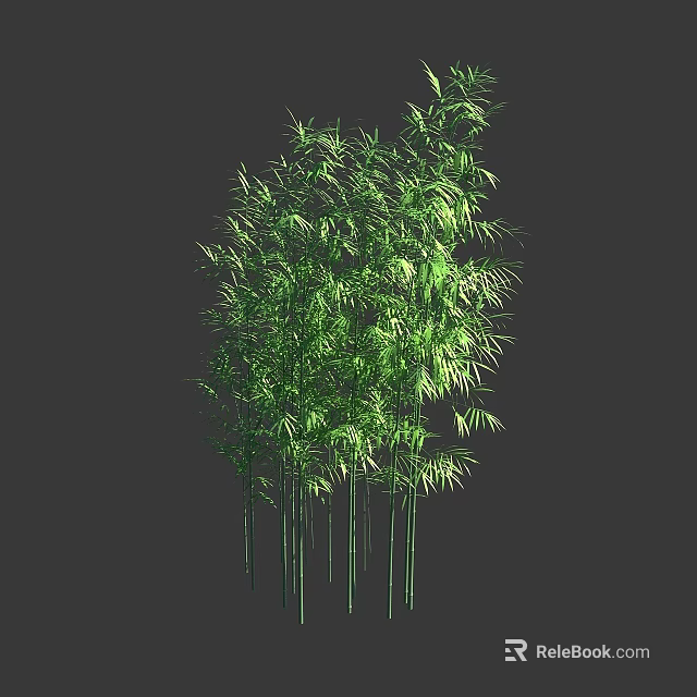 Green Bamboo Plants With Lush Leaves And Tall Green Stems 3d model 