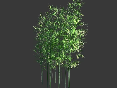 Green Bamboo Plants With Lush Leaves And Tall Green Stems 3d model