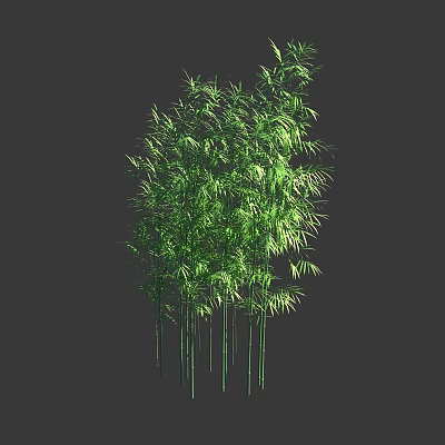 Green Bamboo Plants With Lush Leaves And Tall Green Stems 3d model