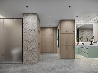 Functional Indoor Space With Silver Wooden Lockers Textured Pillar Green Countertop Washbasin Mirror And Plants 3d model