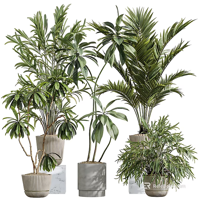 Lush Decorative Potted Bonsai Plants With Green Foliage For Indoor Decor 3d model 