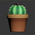 Decorative Green Cactus with Pink Flower and White Spines in Orange Ceramic Pot