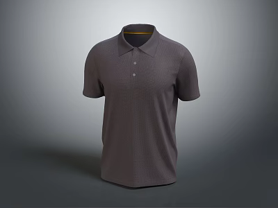 Classic Gray Collared Polo Shirt With Short Sleeves And Simple Design 3d model