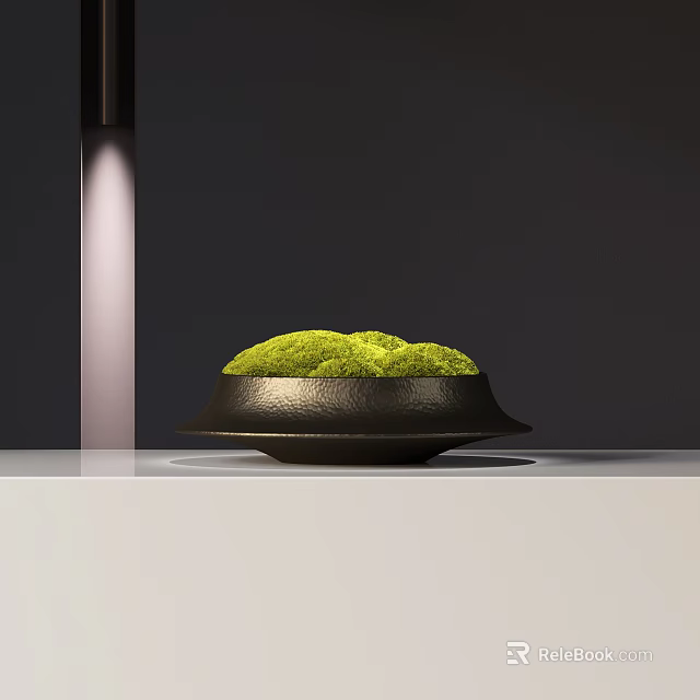 Bonsai Plant with Green Moss in Black Pot on White Tabletop with Lighting 3d model 