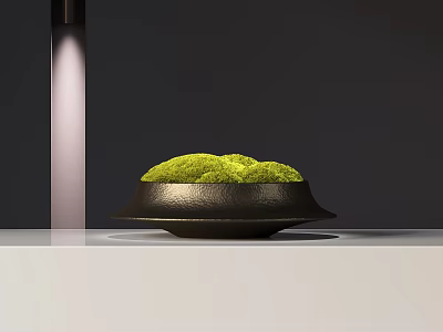 Bonsai Plant with Green Moss in Black Pot on White Tabletop with Lighting 3d model