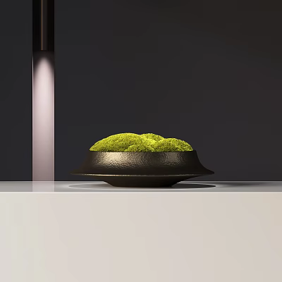 Bonsai Plant with Green Moss in Black Pot on White Tabletop with Lighting 3d model