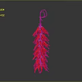 Vibrant Red Chili Peppers Hanging Bunch For Kitchen Decoration And Cooking