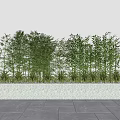Bamboo Plants Arranged in White Rectangular Planter Against Gray Wall and Paved Ground 3d model