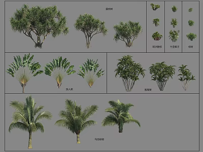 Arbor Tree Varieties With Various Leaf Shapes And Growth Forms 3d model
