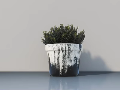 Lush Green Bonsai Plant in Black White Dripped Pot on Gray Table 3d model