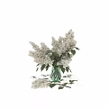 White Lilac Flowers Arranged in Transparent Glass Vase with Green Leaves and Scattered Petals