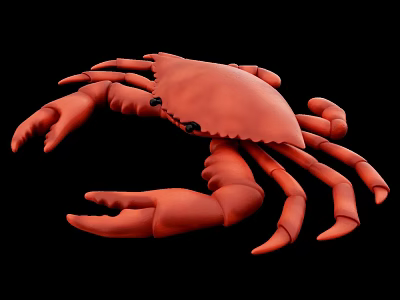 Red Crab Aquatic Animal with Detailed Claws Legs and Shell on Black Background 3d model