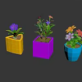 Colorful Square Flower Pots With Vibrant Colored Flowers And Green Leaves