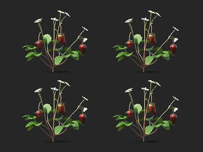 Modern Strawberry 3d model