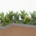 Tropical Plant Combination in Gray Planters on Wooden Deck with Large Leaves Ferns Orange Blooms