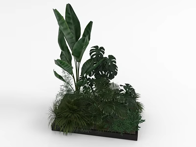 Tropical Mixed Greenery Arrangement With Large Leaves Monstera And Ferns In Black Planter Box 3d model