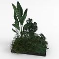 Tropical Mixed Greenery Arrangement With Large Leaves Monstera And Ferns In Black Planter Box