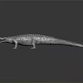 Realistic 3D Crocodile Model With Open Mouth And Textured Skin On Dark Background
