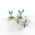 Vibrant Blue And Pink Decorative Flowers With Green Leaves In Garden