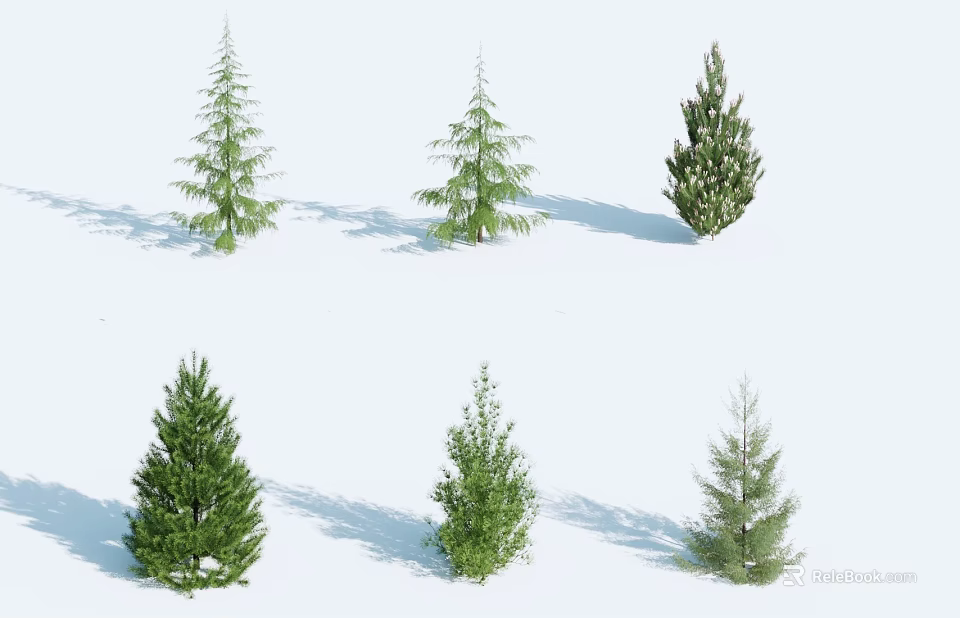 Various Types of Coniferous Trees with Different Shapes on White Background 3d model 