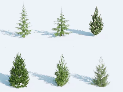Various Types of Coniferous Trees with Different Shapes on White Background 3d model