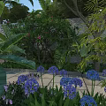 Lush Tropical Garden With Blue Flowers Purple Blooms And Large Green Leaves