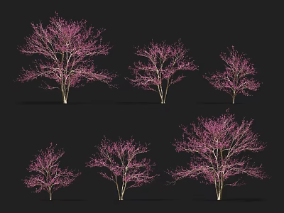 Six Flowering Trees With Pink Blossoms And Branches On Black Background 3d model