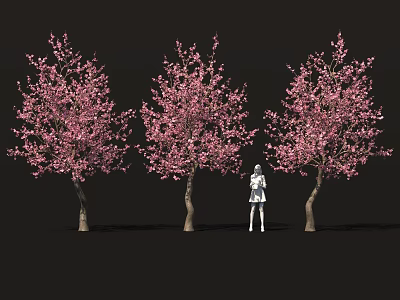 Delicious Homemade Sakura Themed Desserts Under Beautiful Pink Blossom Trees 3d model