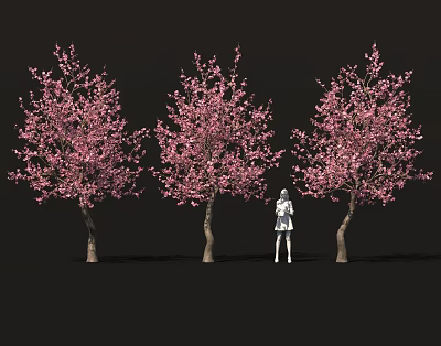 Delicious Homemade Sakura Themed Desserts Under Beautiful Pink Blossom Trees 3d model