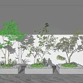 Bonsai Plants In Three Square White Pots With Various Shaped Trees And Gray Background