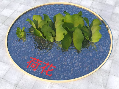 Lotus Plants In Circular Water Basin With Green Leaves On Water Surface 3d model