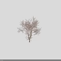Blooming Arbor with Graceful Branches and Soft Light Near Human Silhouette for Size Reference 3d model