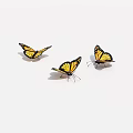 insect butterfly 3d model