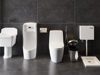Modern Bathroom With White Toilet Urinal Wash Basin And Dark Tiled Wall 3d model