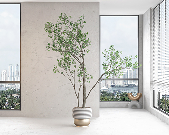 Modern potted plant combination 3d model