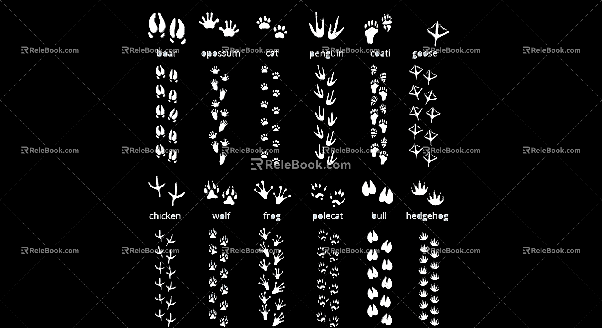 2D Animal Footprints Cat Dog Bird Poultry Paw Black and White Silhouette 3d model