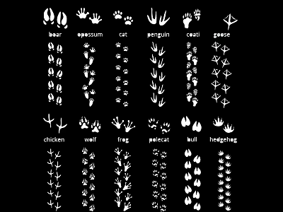Animal Footprint Silhouette Collection With Wolf Cat Bear Tiger And More Designs 3d model