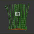 Green Bamboo Plants With Long Stems Growing On Orange Soil Base