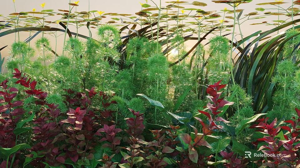 Aquatic Plants In Water Garden With Diverse Green Red Foliage And Sunlight Exposure 3d model 