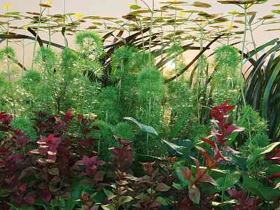 Aquatic Plants In Water Garden With Diverse Green Red Foliage And Sunlight Exposure 3d model