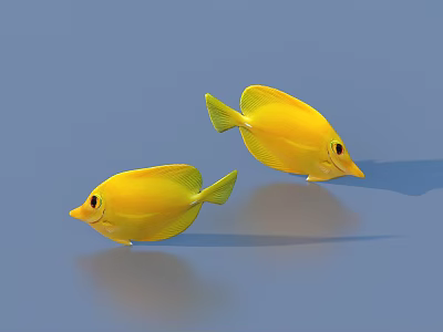 Tropical Fish Colorful Fish Ornamental Fish Fish Freshwater Fish Sea Fish Animal Game Animals 3d model