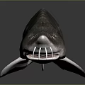 Realistic 3D Rendered Sturgeon Model With Detailed Scales And Long Snout