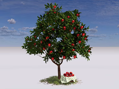 Lush Fruit Arbor Bearing Red Fruits With Basket Under Blue Sky And White Clouds 3d model