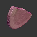 Natural Wood Slice with Distinct Annual Rings and Smooth Wooden Grain Texture