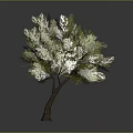Lush Green Tree With Brown Trunk And Vibrant Leaves On Gray Background