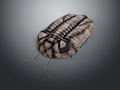 Realistic Insect With Detailed Exoskeleton Large Compound Eyes And Antennae 3d model