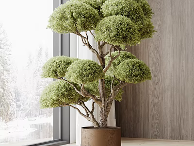 Bonsai Plant in Brown Pot by Large Window with Wooden Wall and Snowy Trees Outside 3d model