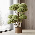 Bonsai Plant in Brown Pot by Large Window with Wooden Wall and Snowy Trees Outside