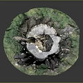 Natural Wooden Tree Stump Decor With Hollow Center And Grass Moss Accents